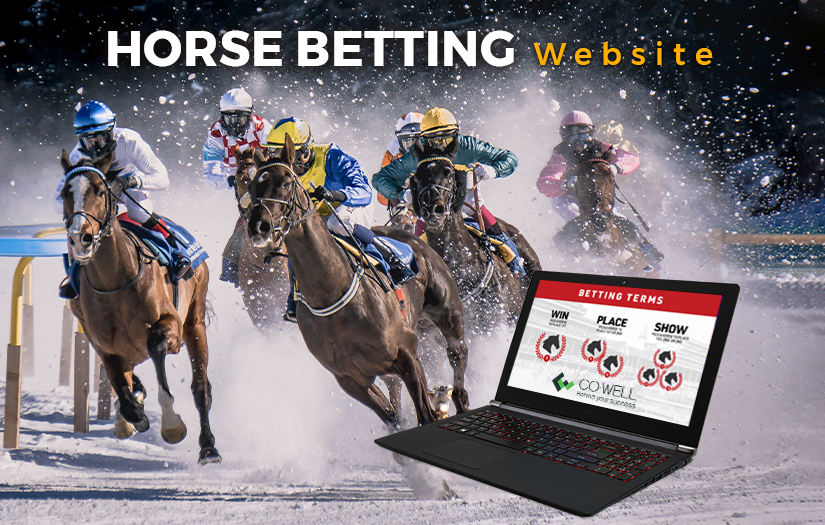 Horse betting website screenshot 1