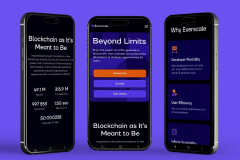 A Blockchain Ecosystem