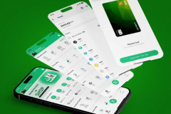 Crypto UPI App Utility Payment with Crypto