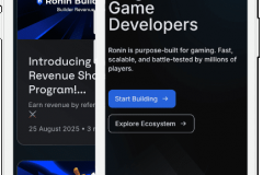 Blockchain Platform for Gaming