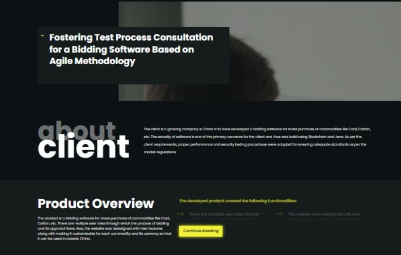 Security and Performance Testing of China Based Bidding Software - Test Process Consultation screenshot 1