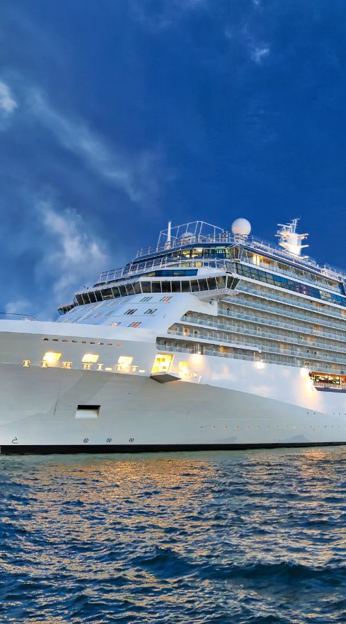 Web Testing Solution For Leading Cruising Store screenshot 1