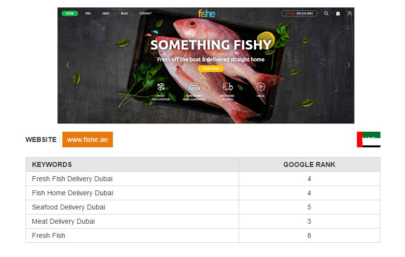 Complete SEO services - www.fishe.ae screenshot 1
