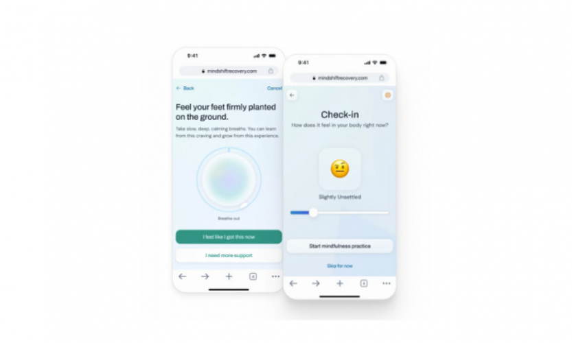 MindShift Recovery screenshot 1