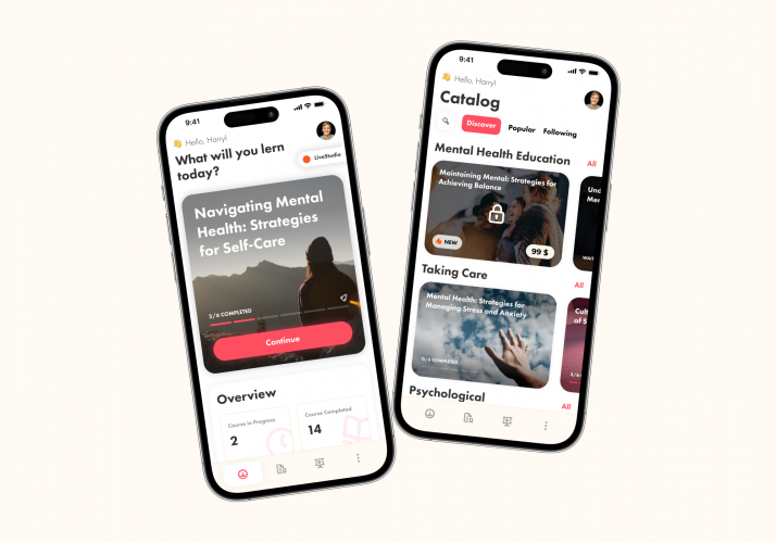 E-Learning Platform screenshot 1