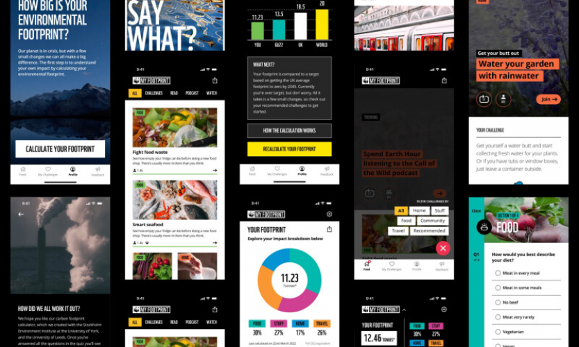 My Footprint  screenshot 1