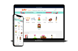 Hollar Web and Mobile Application Development