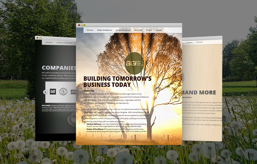 Phoenix Time & Expense Web and Mobile Apps screenshot 1