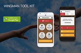 Wingman Toolkit :