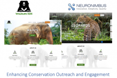Web Development for Wildlife Conservation NPO