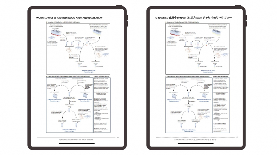 Portfolio of Medical Devices Translation Projects - NADMED screenshot 4