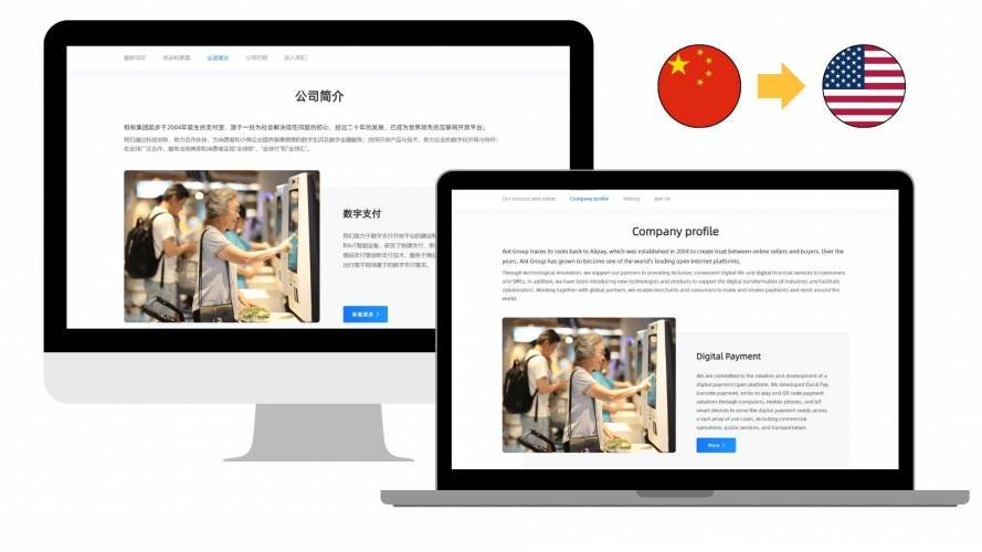 Portfolio of Financial Services Translation Projects - Ant Group screenshot 3