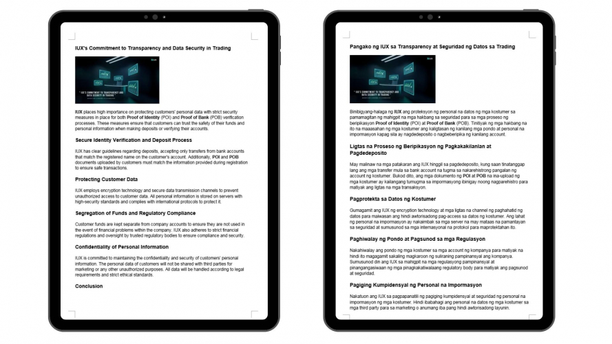 Portfolio of ForEx Translation Projects - IUX screenshot 2
