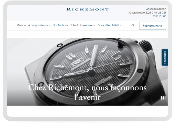Portfolio of Fashion Translation Projects - Richemont International screenshot 1