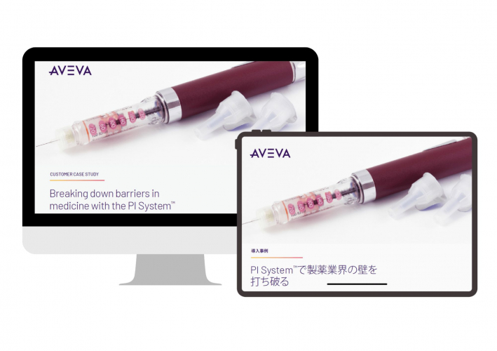 Portfolio of Software Translation Projects - AVEVA Singapore screenshot 1