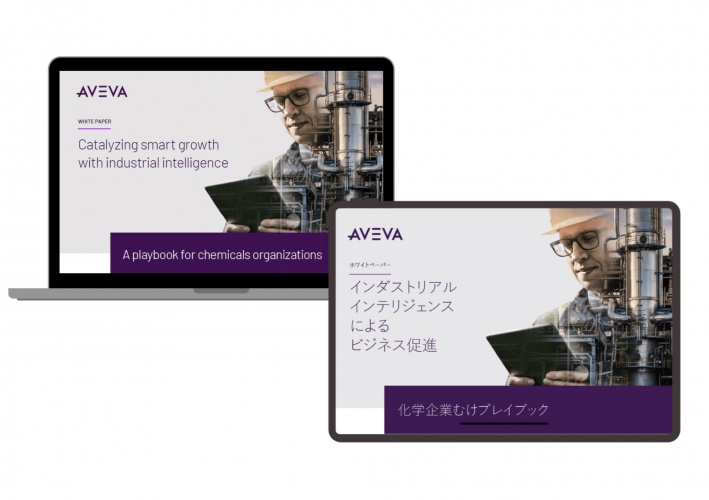 Portfolio of Software Translation Projects - AVEVA Singapore screenshot 2