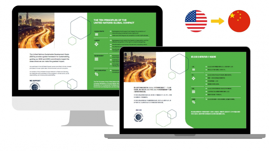 Portfolio of Chemical Translation Projects - Synthos Group screenshot 2