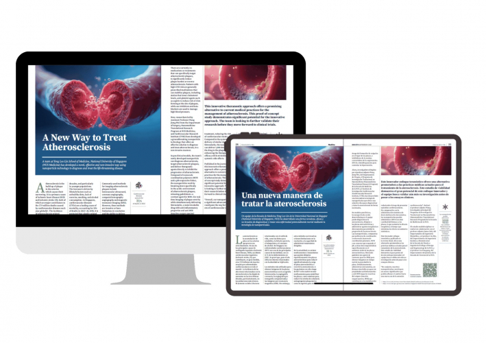 Portfolio of Advertising Translation Projects - Lancer Design  screenshot 2