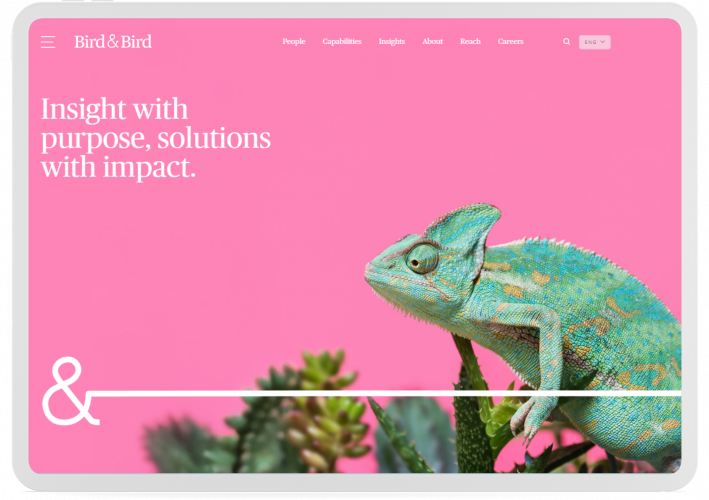 Portfolio of Legal Translation Projects - Bird & Bird screenshot 1