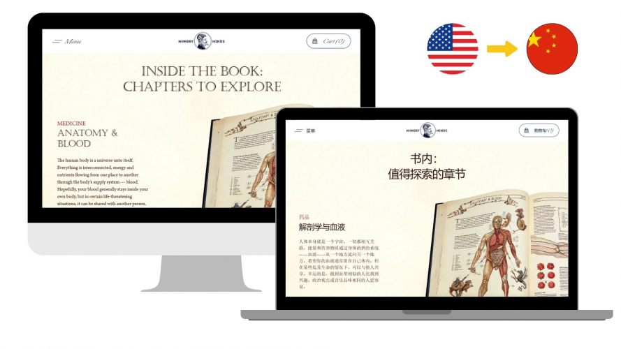 Portfolio of Publishing Translation Projects - Hungry Minds Publishing screenshot 3