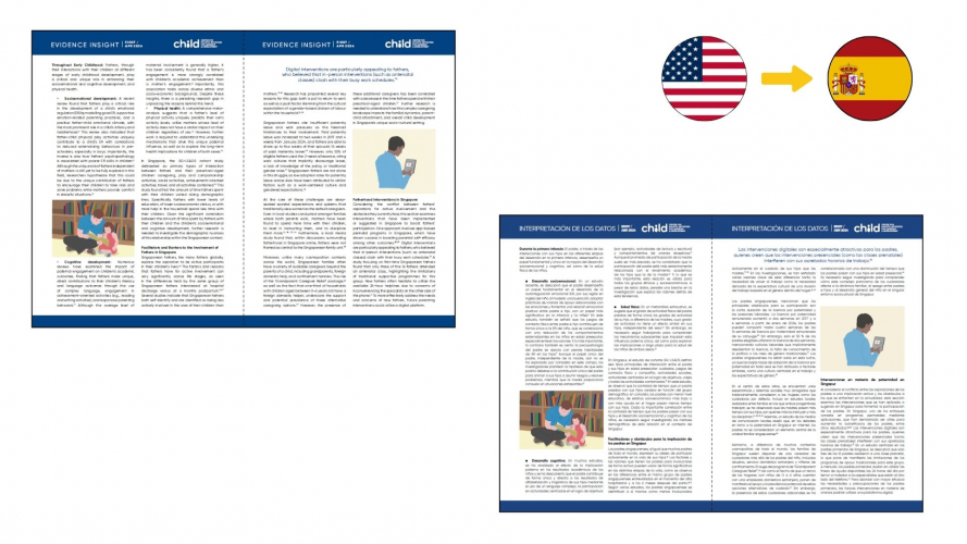 Portfolio of Education Translation Projects - National University of Singapore screenshot 4