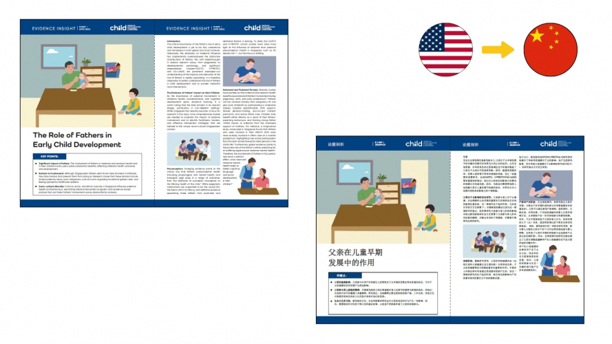 Portfolio of Education Translation Projects - National University of Singapore screenshot 2