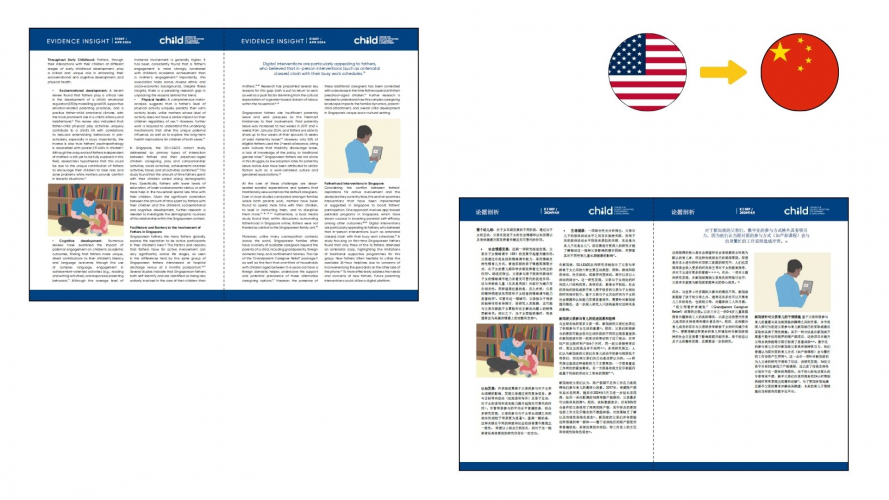 Portfolio of Education Translation Projects - National University of Singapore screenshot 1