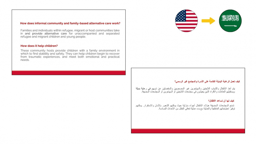 Portfolio of NGO & International Organizations Translation Projects - International Detention Coalition screenshot 2