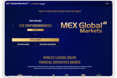 Portfolio of Crypto Translation Projects - Mex Global Markets