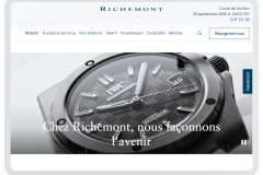 Portfolio of Fashion Translation Projects - Richemont International