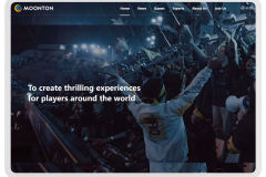 Portfolio of Gaming Translation Projects - MoonTon