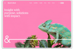 Portfolio of Legal Translation Projects - Bird & Bird