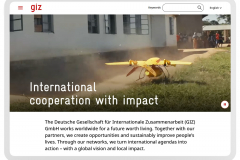 Portfolio of NGO & International Organizations Translation Projects - GIZ