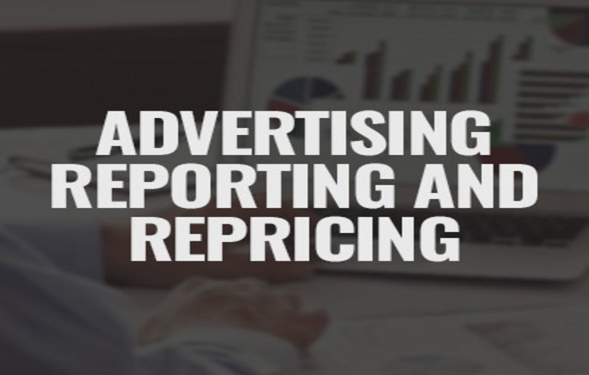 Advertising reporting and repricing screenshot 1