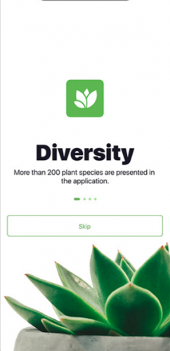 Soft Green UI/UX screenshot 2