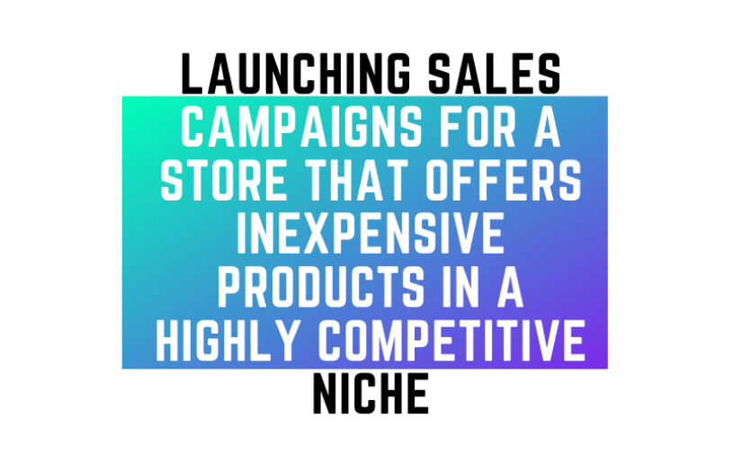 Launching Sales Campaigns For A Store That Offers Inexpensive Products In A Highly Competitive Niche screenshot 1