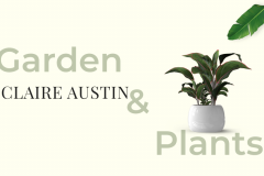 Claire Austin Hardy Plants