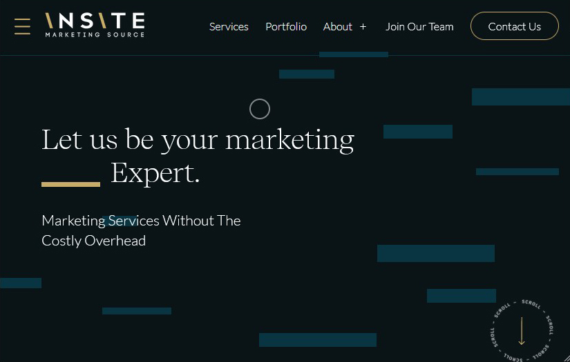 Insite Marketing | Website Design & Development screenshot 2