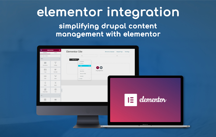 Simplifying Drupal Content Management with Elementor screenshot 1