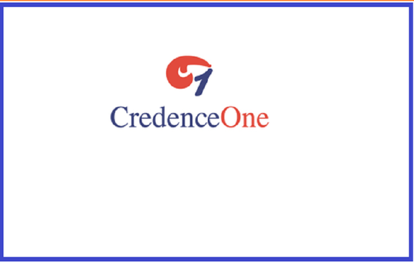 CadenceOne - IT Consulting Services screenshot 1