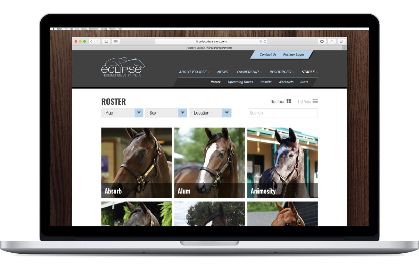Web Design - Eclipse Thoroughbred Partners screenshot 1