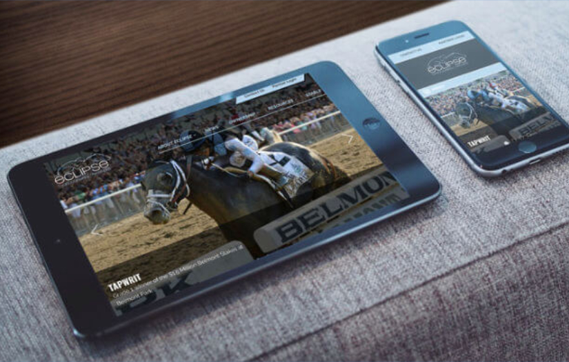 Web Design - Eclipse Thoroughbred Partners screenshot 5