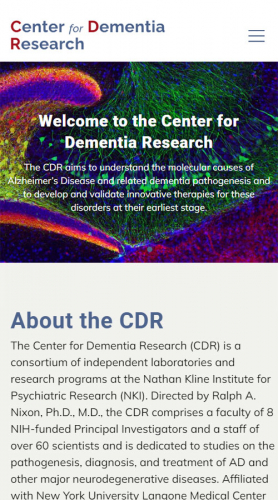 Center for Dementia Research screenshot 1