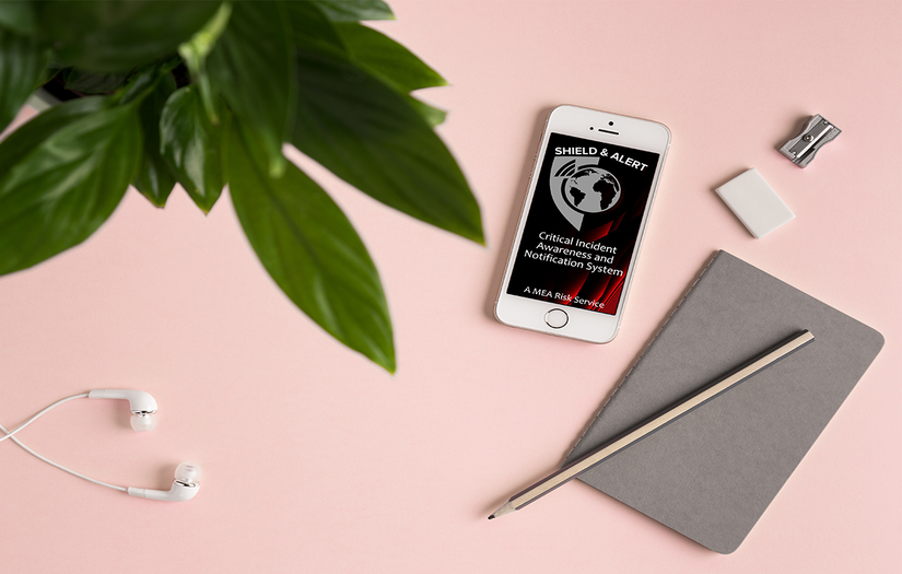 MEA-Risk LLC screenshot 4