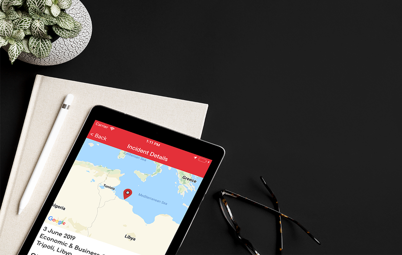 MEA-Risk LLC screenshot 2