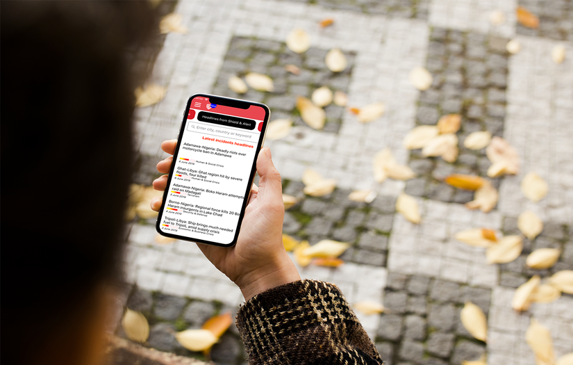 MEA-Risk LLC screenshot 1