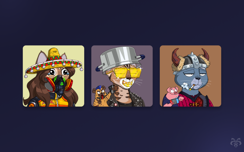 NFT Collections (Entravel) screenshot 3