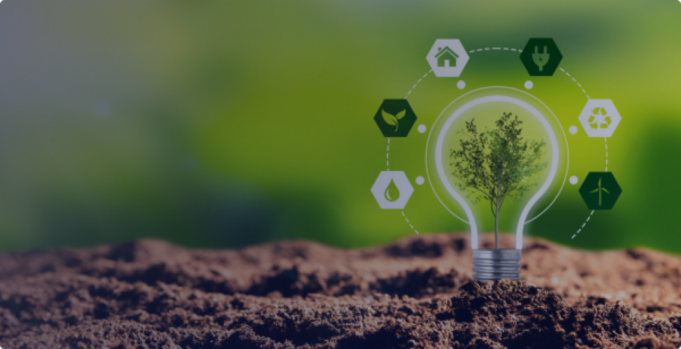 Cross-Platform Mobile App for Promoting Sustainable Lifestyles screenshot 1