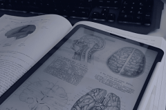 E-Learning Platform for Clinicians in Cancer Diagnosis and Treatment