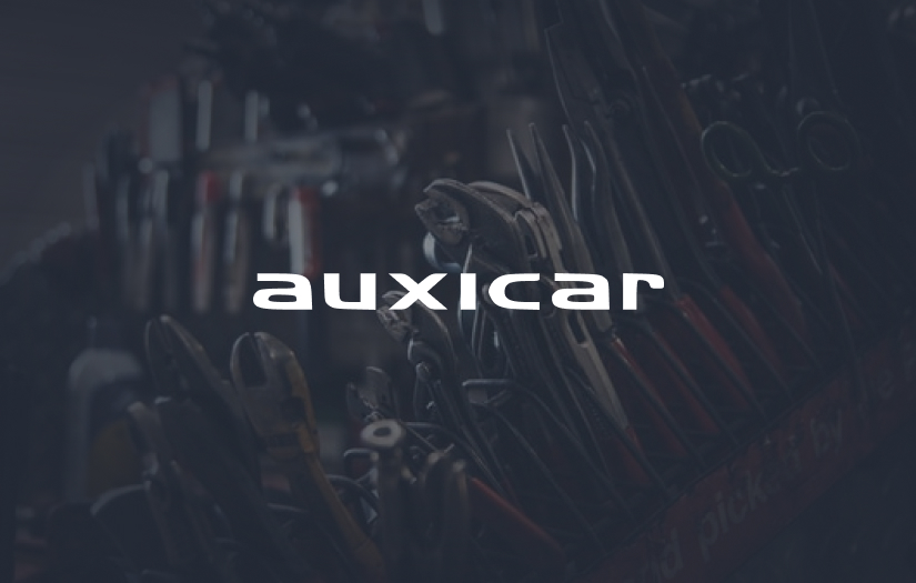 Auxicar screenshot 1